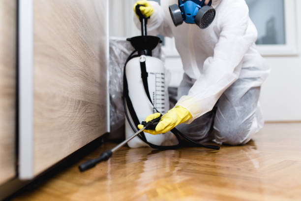 Best Commercial Pest Control Services  in Reading, OH