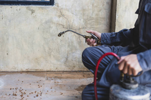 Best Local Pest Control Services  in Reading, OH